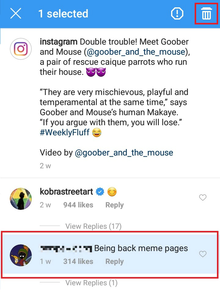 How to Report Posts on Instagram